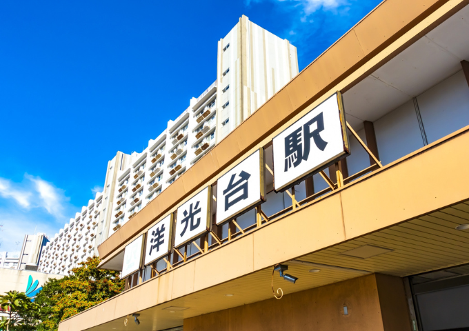 見どころのイメージ